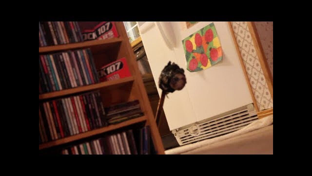 Mr. Horse Head Lives (Teaser) (Andrew Blaze - Randy Stair)
