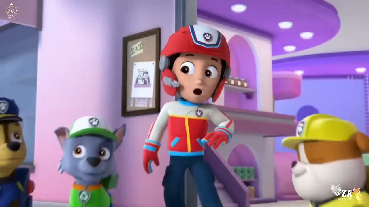 PAW Patrol Cartoons