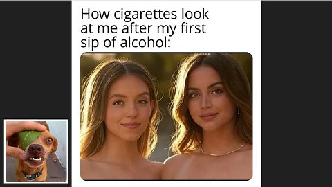 Meme compilation Episodes 366-370.