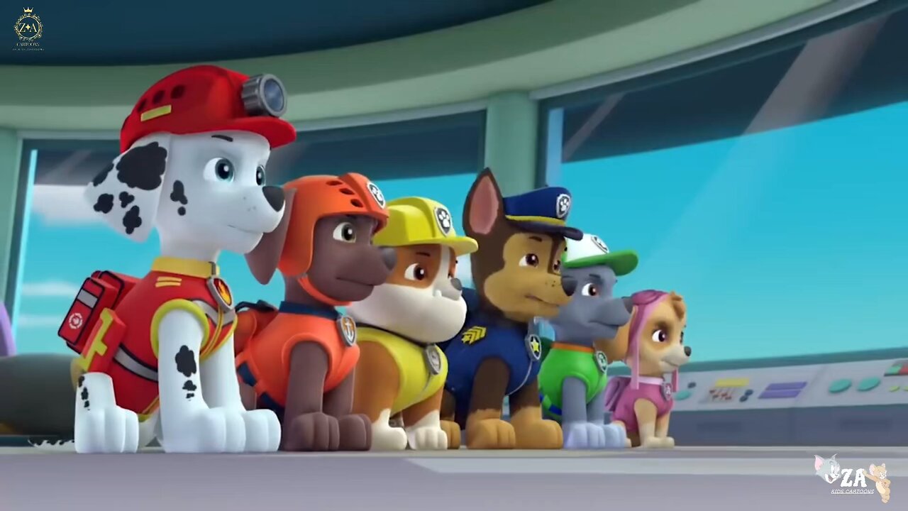 PAW Patrol Cartoons