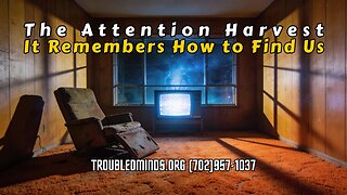 The Attention Harvest - It Remembers How to Find Us
