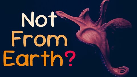 Why Some Scientists Think Octopuses Aren’t from Earth