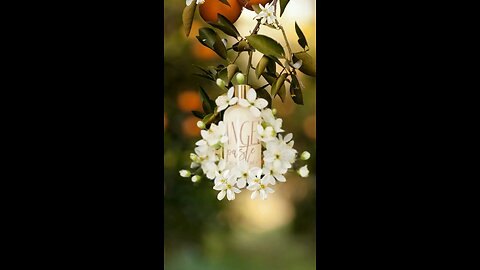 Orange Blossom Angelpaste