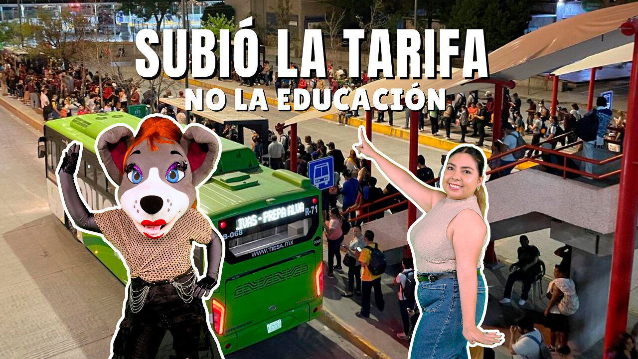 Subió la tarifa, no la educación | Perrafa y Mich 🐶😸