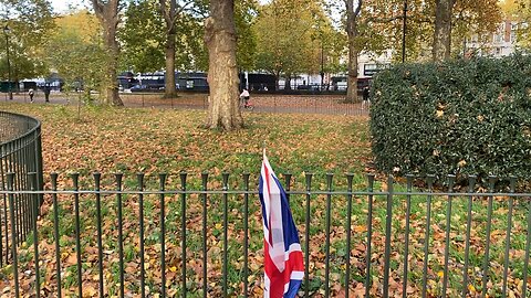 Speakers Corner, 2/11/25.
