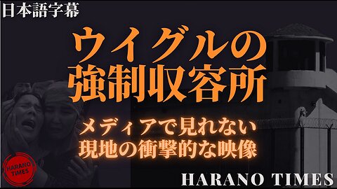 ウイグルの強制収容所★メディアで見れない現地の衝撃的な映像【日本語字幕】＊YouTube検閲削除＊