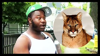 VIRAL: Man Gives HILARIOUS Interview After Seeing Mountain Lion