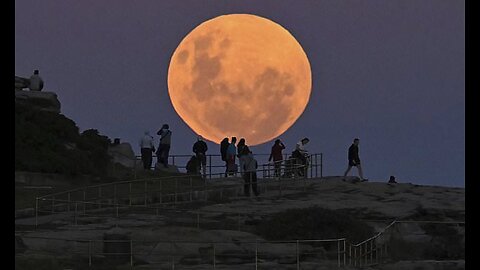 Full Moon & Discovery Channel: The Wild Chaos You Missed!