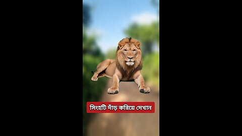 সিংহটি দাঁড় করিয়ে দেখান #viral #challenge #shorts