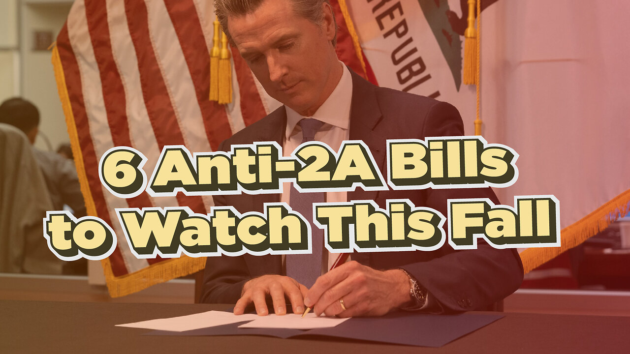 Californias Budget Crisis Could still END These Gun Bills!
