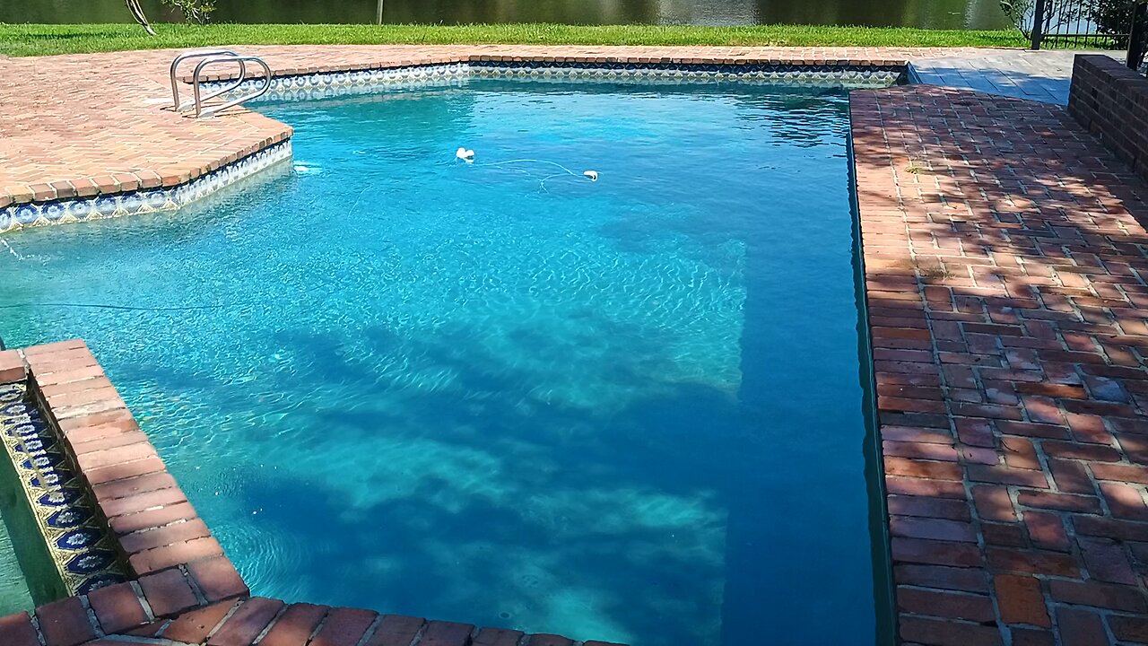 Dolphin cleaner for customer cleaning