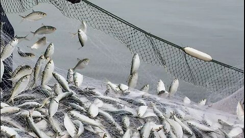 John 21 – ‘Part TWO’ (Time for Truth!)