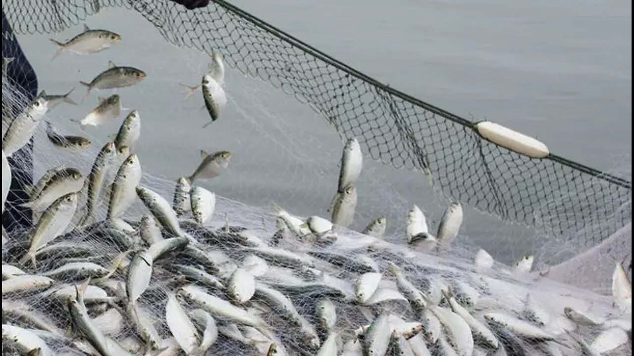 John 21 – ‘Part TWO’ (Time for Truth!)