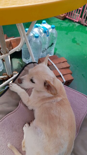 20250908.God Is Love.