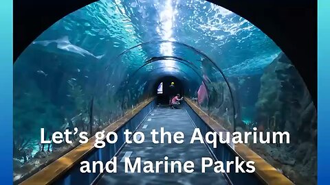 Let’s Go To The Aquarium