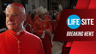 BREAKING | Cardinal Müller: A Liberal Pope Could SPLIT the Church