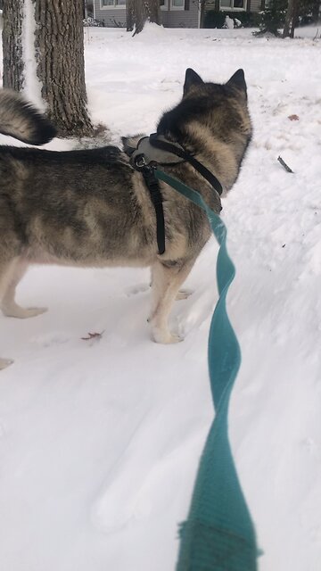 Sunday November 30, It was now winter.