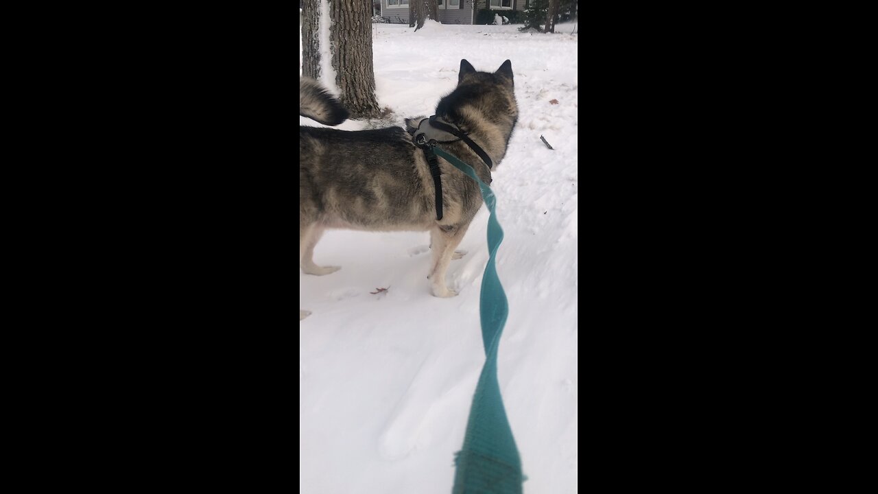 Sunday November 30, It was now winter.