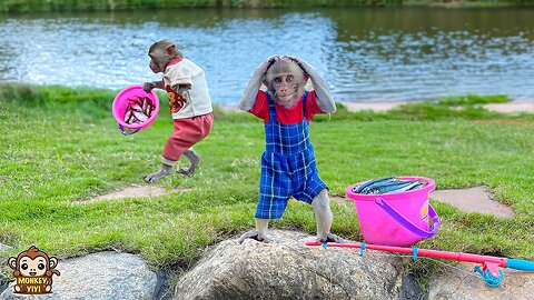Monkey YiYi so angry when her fish was stolen