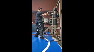 WTD Wooden Dummy Combination 5