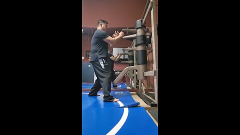 WTD Wooden Dummy Combination 5