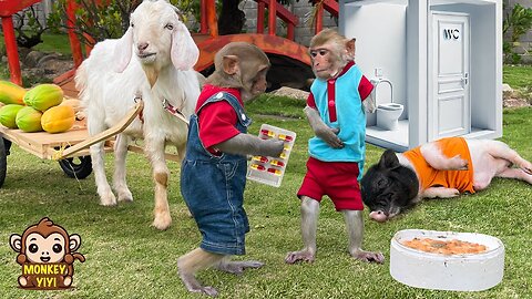 YiYi takes goat to sell papaya to buy medicine for YinYin and Un In from food poisoning