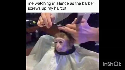 me watching in silence as the barber screws up my haircut