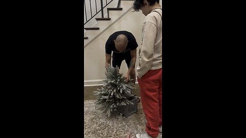 Christmas Tree Takedown 🎄