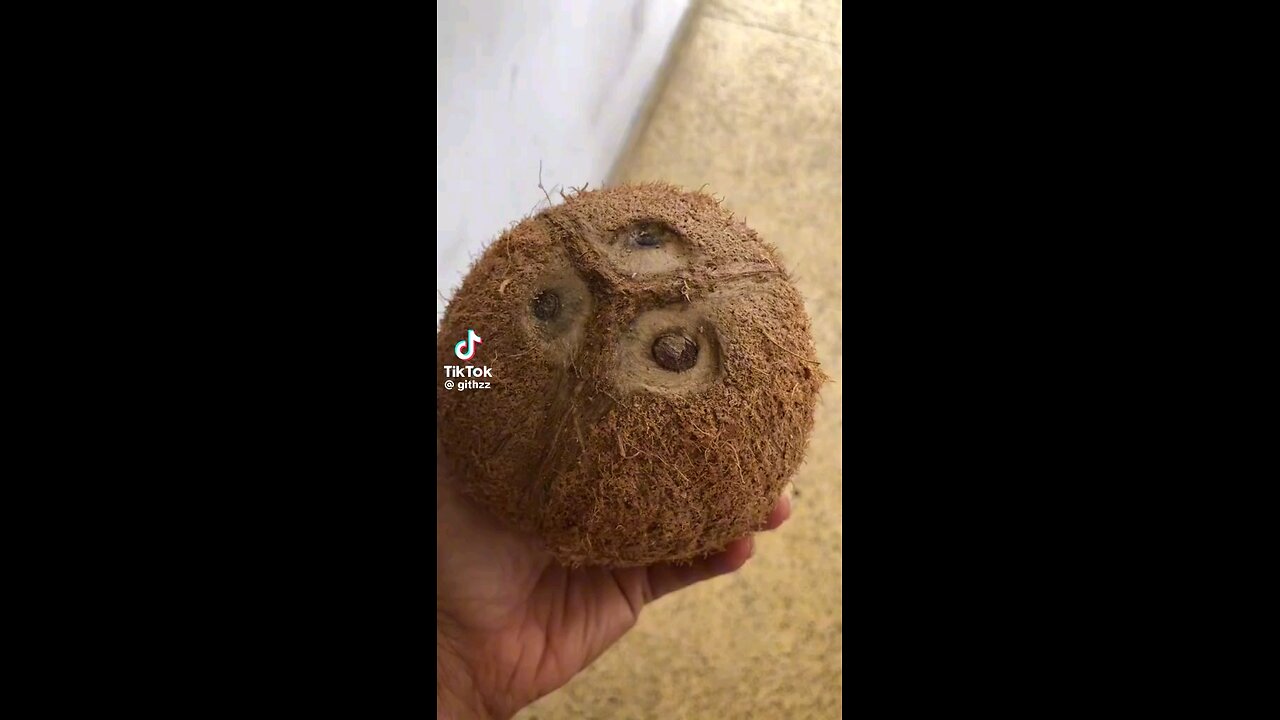 coconut