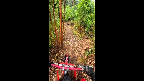 motorcycle trail in the forests of Brazil