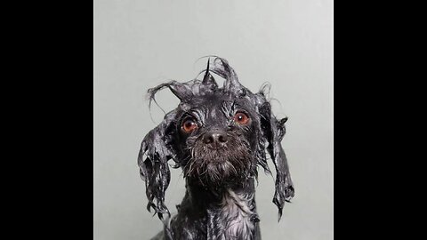 GOD IS NOW DEMANDING ANSWERS PR TRUMP