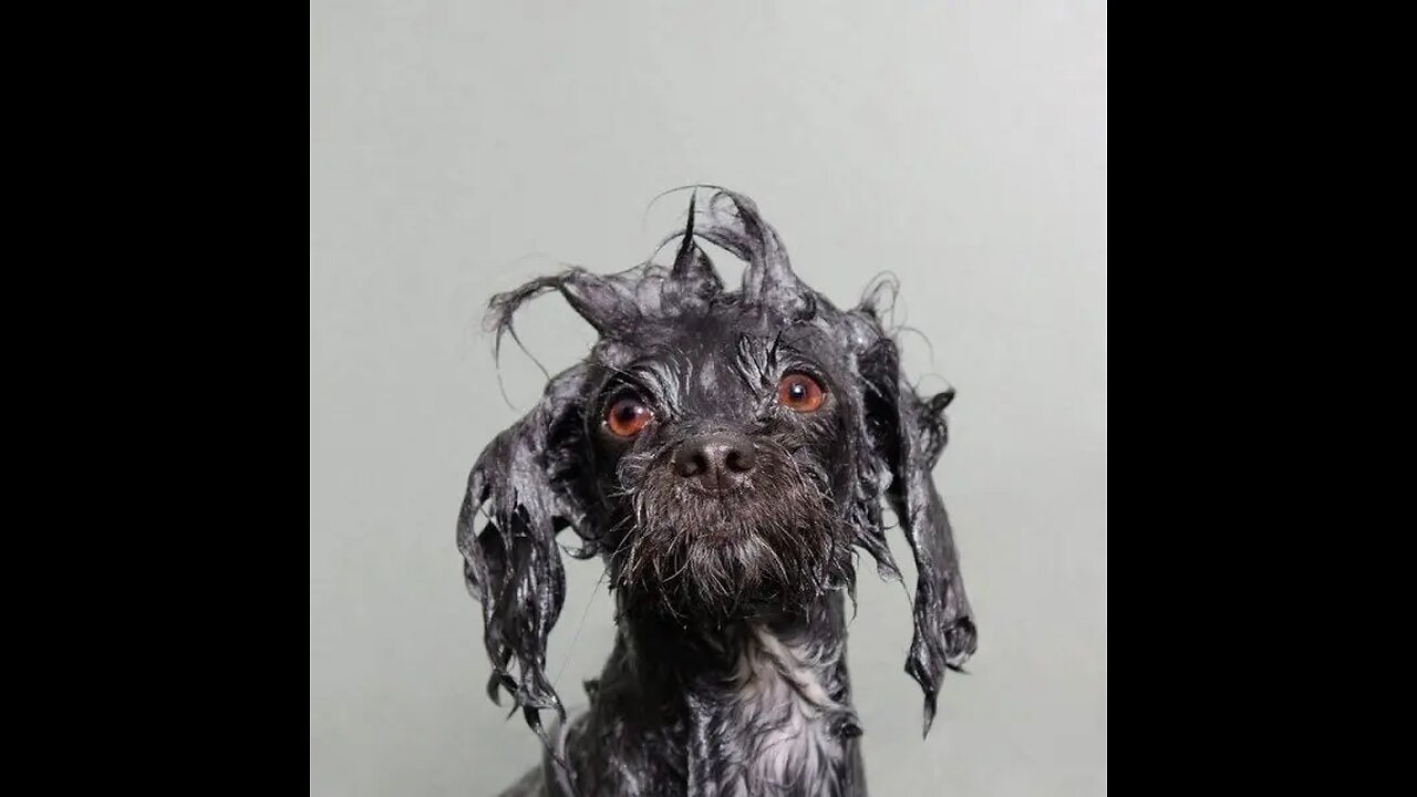 GOD IS NOW DEMANDING ANSWERS PR TRUMP