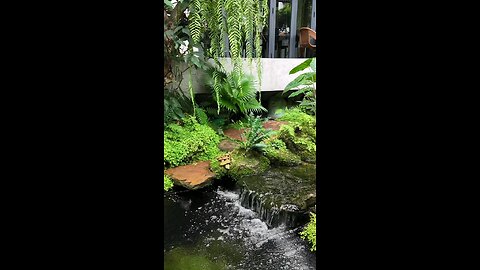 look,,, like for this vidio