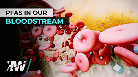 🚩PFAS IN OUR BLOODSTREAM | The HighWire