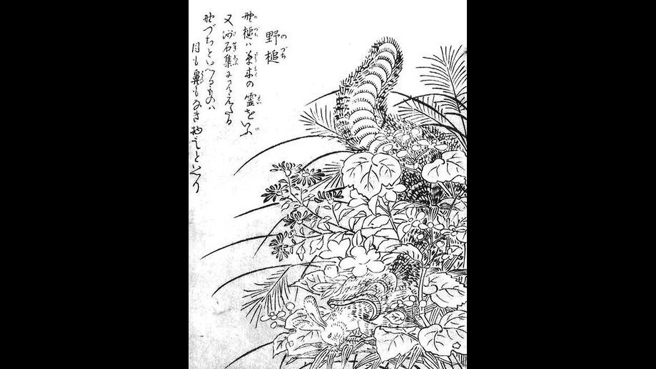 Nozuchi