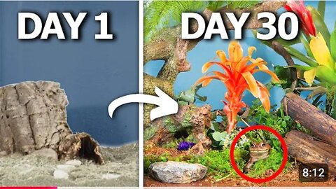 Simulating a Rainforest for 30 Days