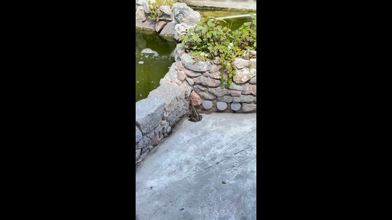 Preparing for the jump