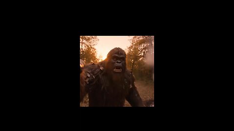 There’s no List! #bigfootvlog #thelist #coverrup