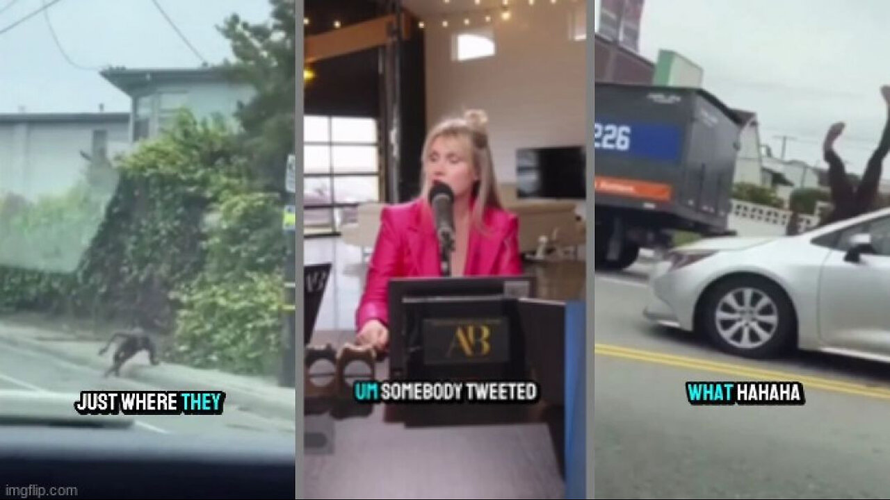 THEY'RE SPAWNING FROM TREES NOW⁉️