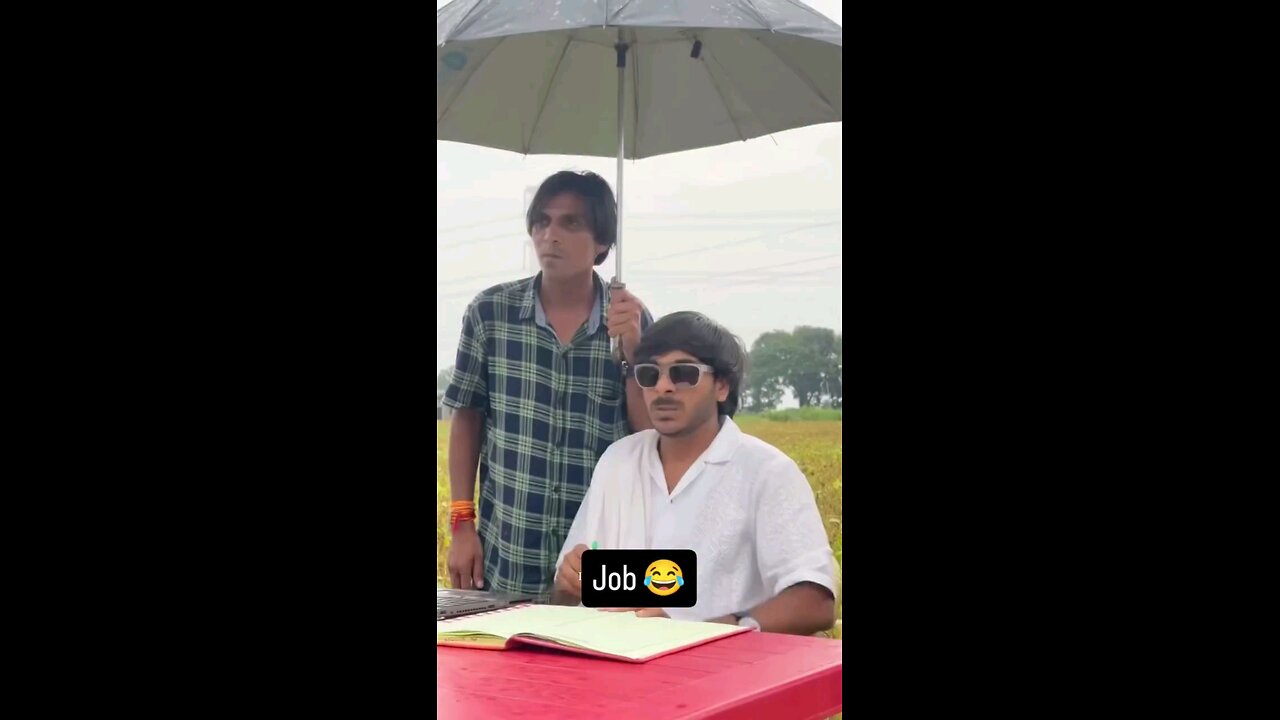 खेत मे धान काट लोगी