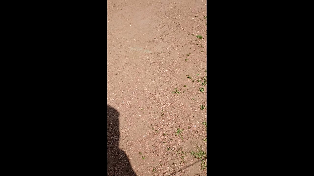 maybe it's normal?