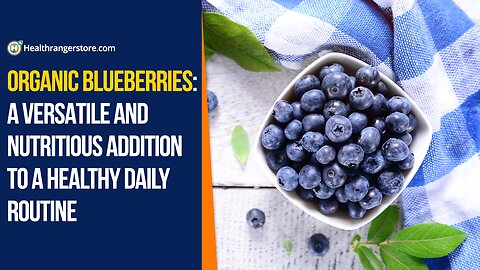 Organic Blueberries: A versatile and nutritious addition to a healthy daily routine