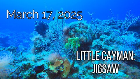 Little Cayman - Jigsaw - March 17, 2025