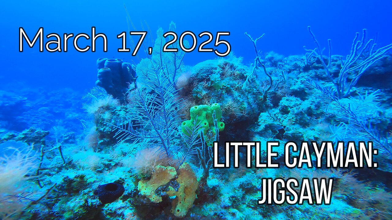 Little Cayman - Jigsaw - March 17, 2025