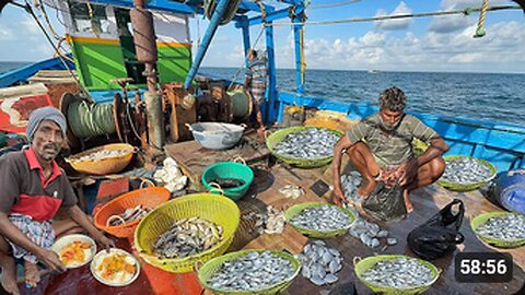 Amazing Incredible Variety of Fish & Prawns Caught in Trawlnet Fishing