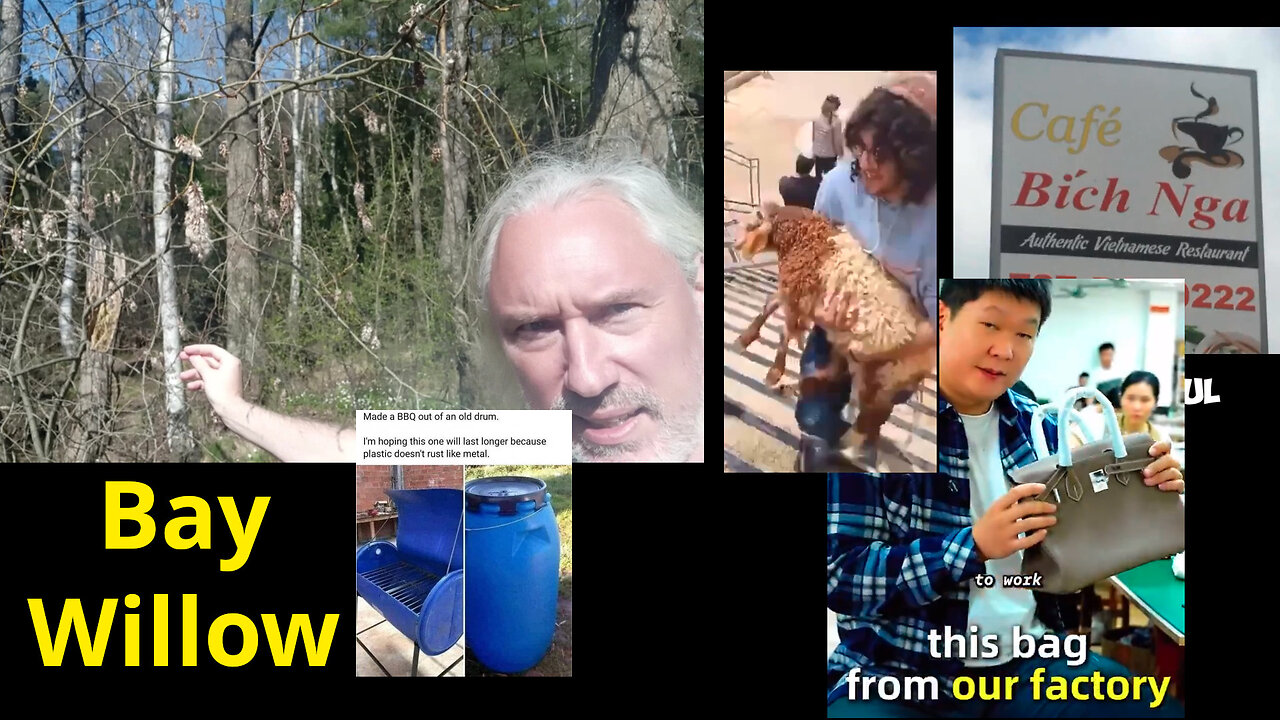 Beyond humanoid robots. Tariffs against big corp. Fake Jewish NGOs? Israeli behavior. Bad animals