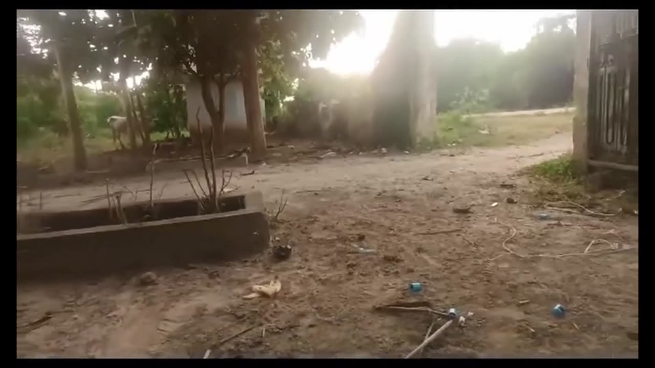 🛸🌿 Myanmar War | PDF Flashing Lights Warning | RCF