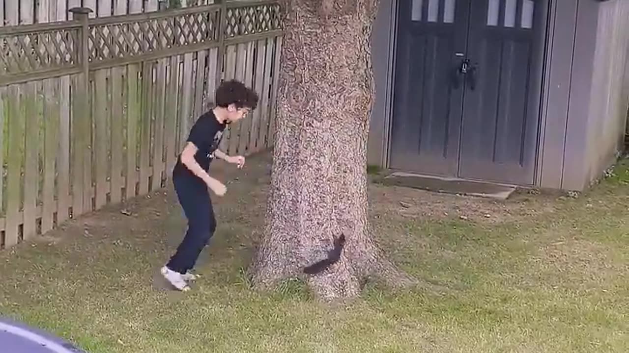 The cutest video you will see today