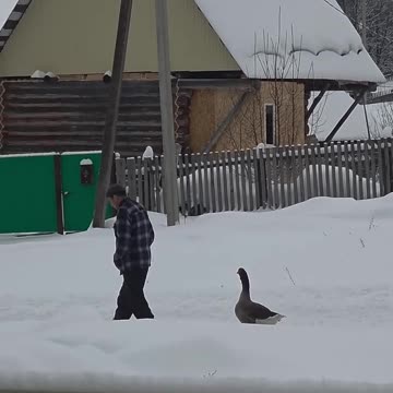 Time to head back home 😊