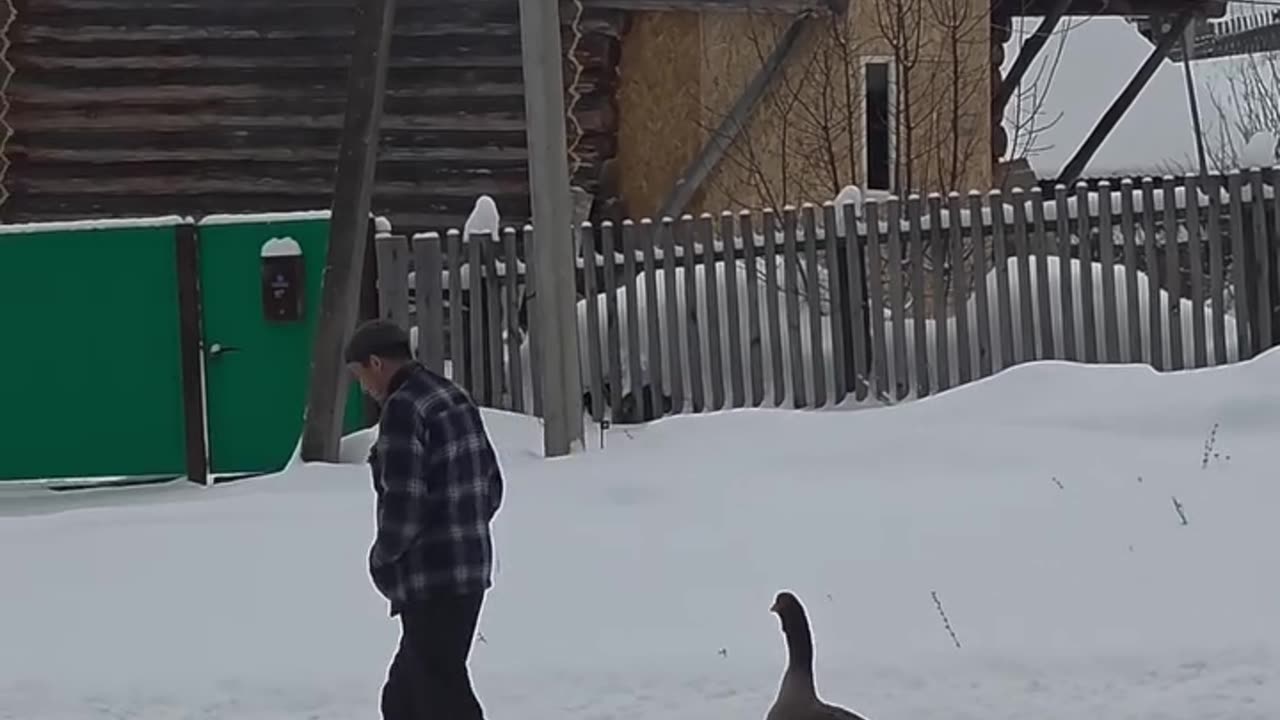 Time to head back home 😊